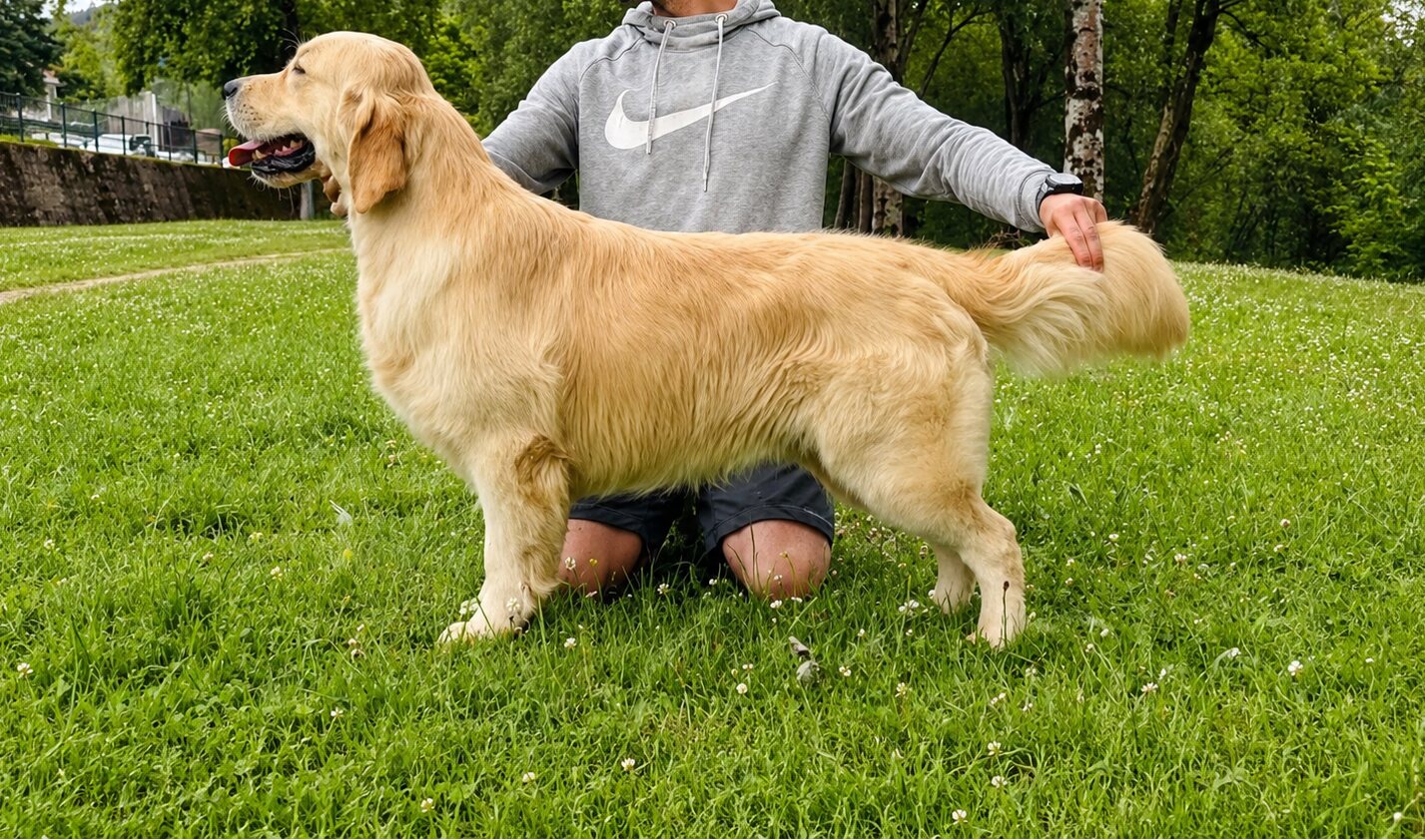 Rabel posando en la pradera