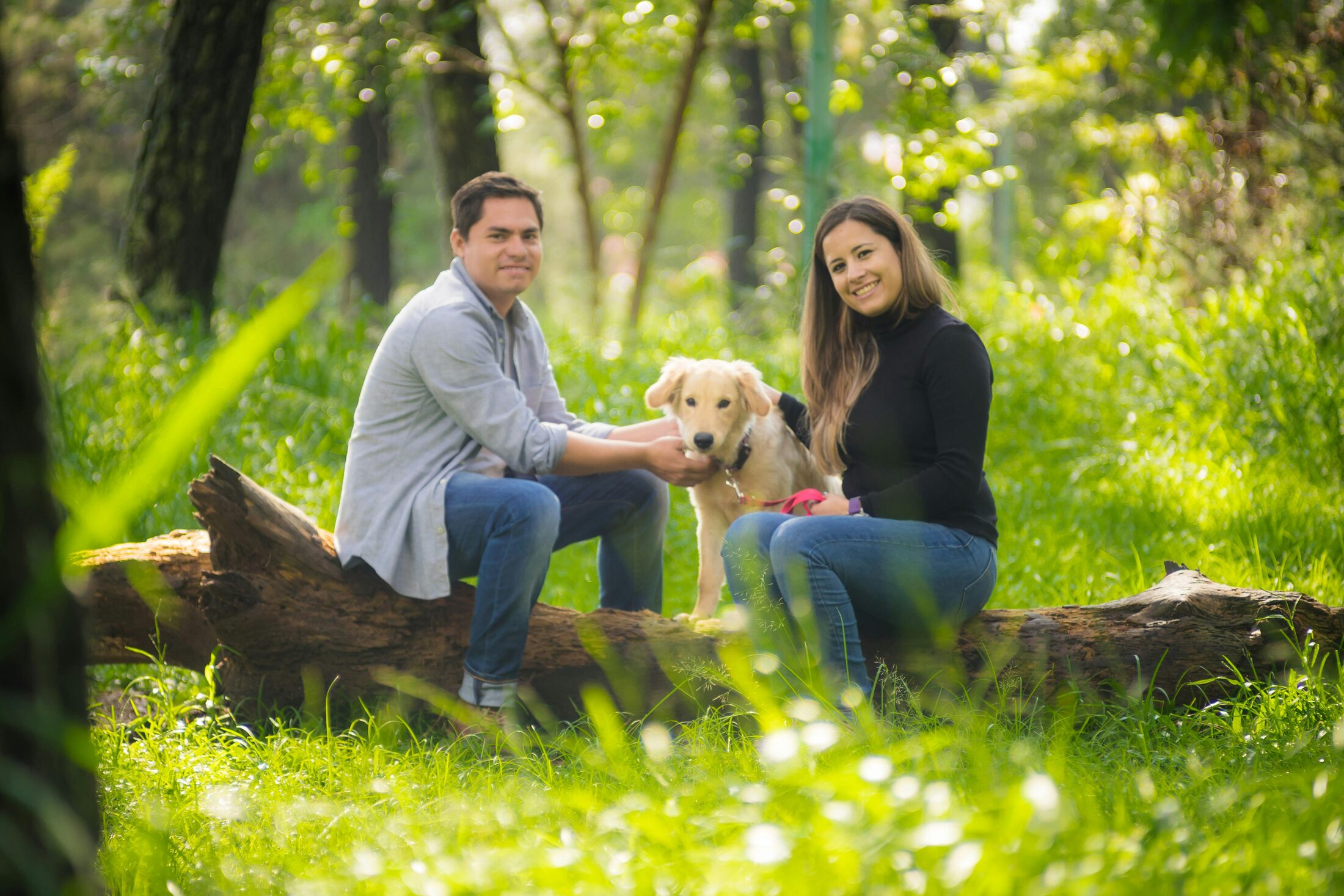 Cachorro Golden Retriever junto a una familia