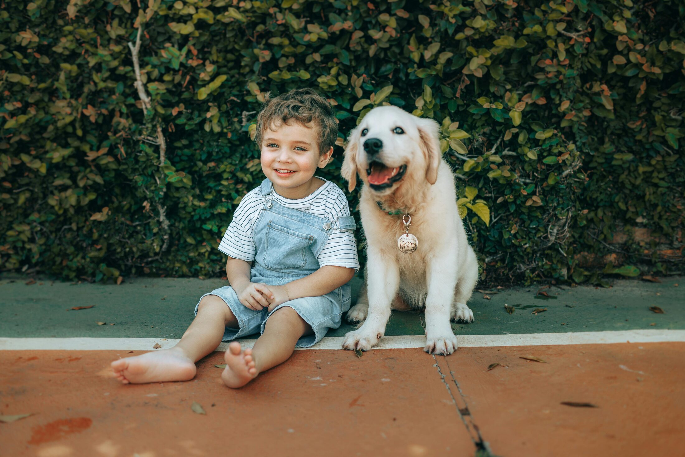 Golden Retriever en Asturias para la visita o recogida